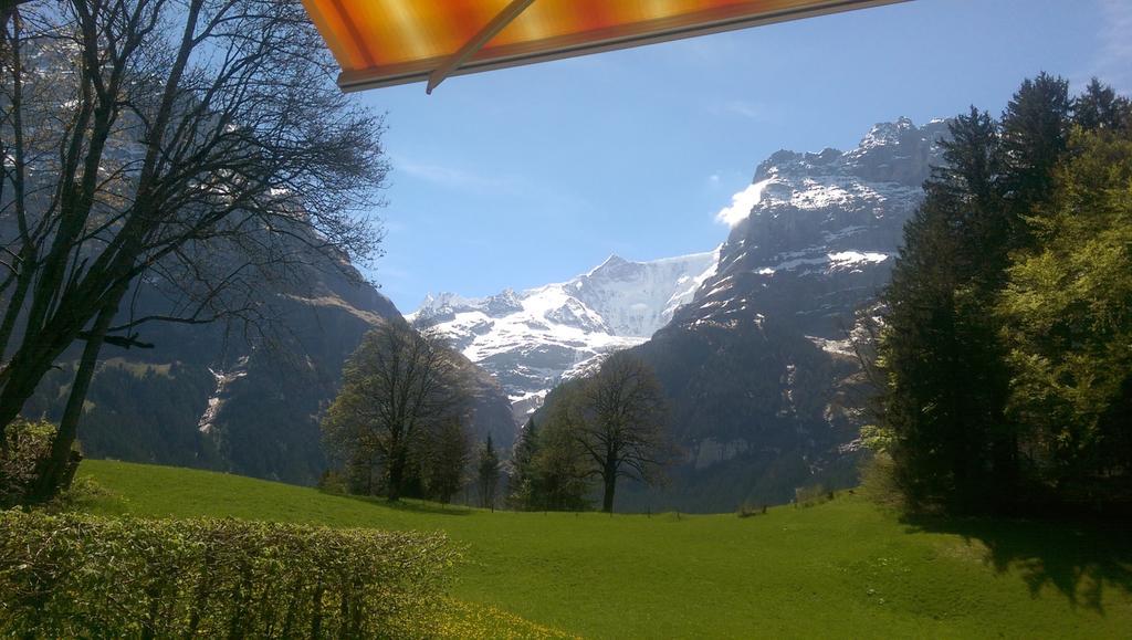 Mom - Alpine Boutique Apartments, Grindelwald Gletscher, Eiger View Terrace Studio Oda fotoğraf