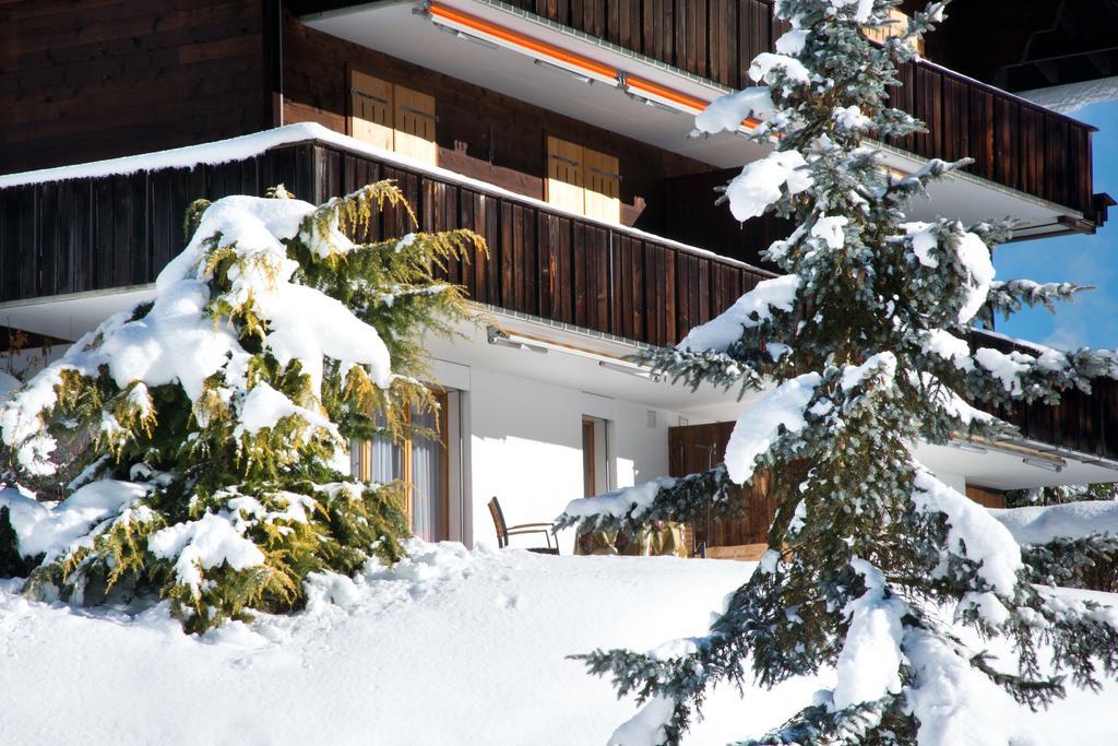 Mom - Alpine Boutique Apartments, Grindelwald Gletscher, Eiger View Terrace Studio Oda fotoğraf