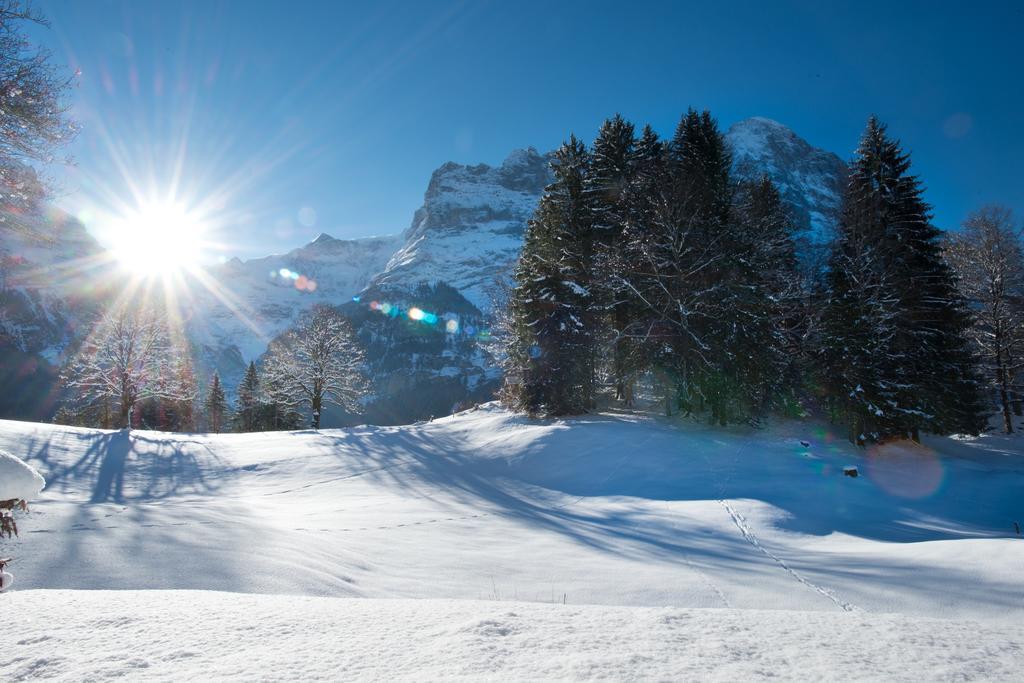 Mom - Alpine Boutique Apartments, Grindelwald Gletscher, Eiger View Terrace Studio Oda fotoğraf